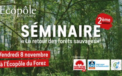 Séminaire « Le retour des forêts sauvages »