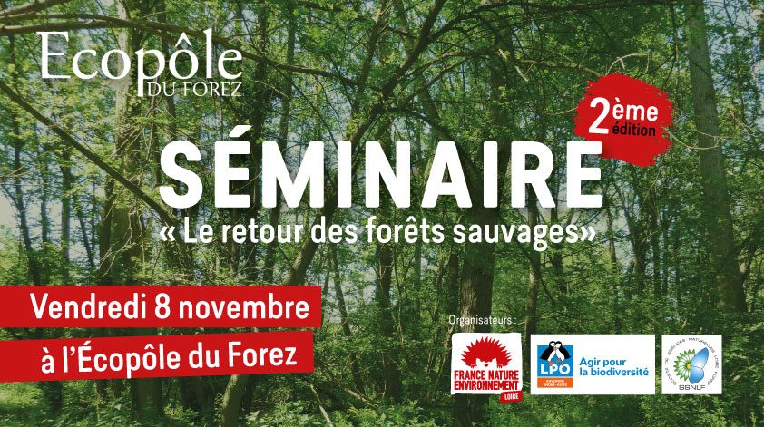 Séminaire « Le retour des forêts sauvages »